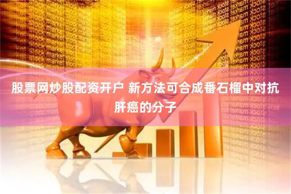股票网炒股配资开户 新方法可合成番石榴中对抗肝癌的分子