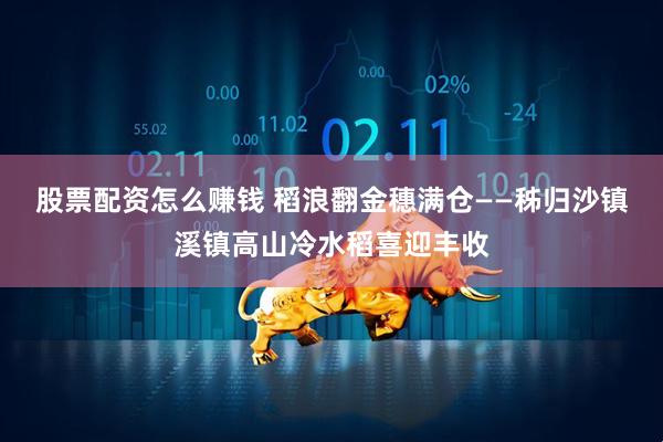 股票配资怎么赚钱 稻浪翻金穗满仓——秭归沙镇溪镇高山冷水稻喜迎丰收